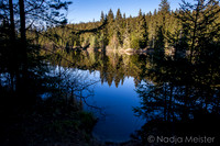Pohori na Sumave_by_Nadja Meister_IMG_8476