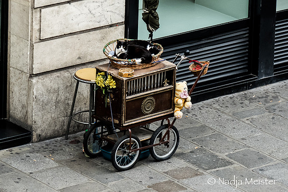 Paris_(c)_Nadja Meister_IMG_0269