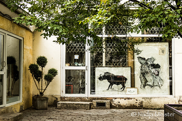 Paris_(c)_Nadja Meister_IMG_0207