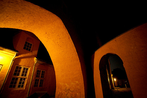 roskilde dome