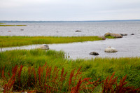 Stones of Estonia_by_Nadja Meister_IMG_2323
