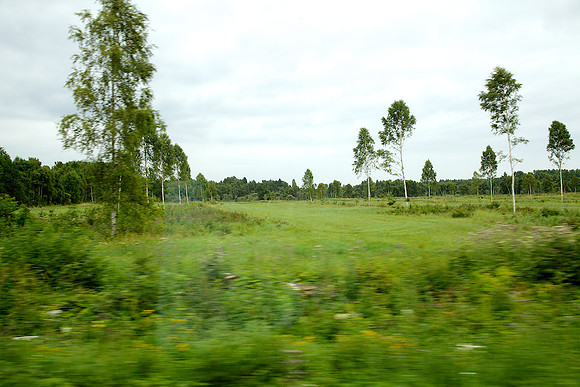 Stones of Estonia_by_Nadja Meister_IMG_2722