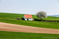 Kulturlandschaft_by_Nadja MeisterIMG_6747
