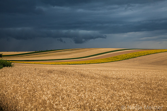 Kulturlandschaft_by_Nadja MeisterIMG_9416