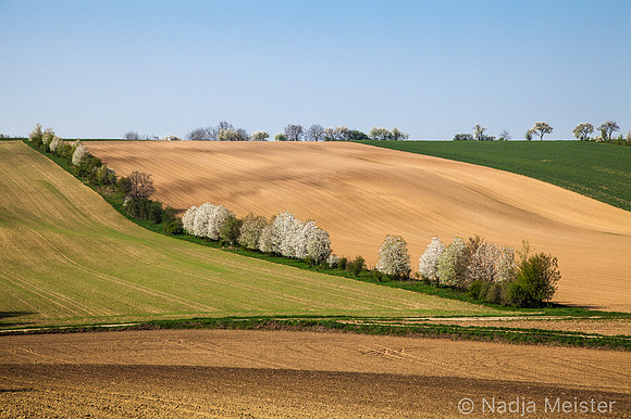 Kulturlandschaft_by_Nadja MeisterIMG_6697