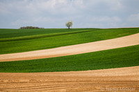 Kulturlandschaft_by_Nadja MeisterIMG_6727