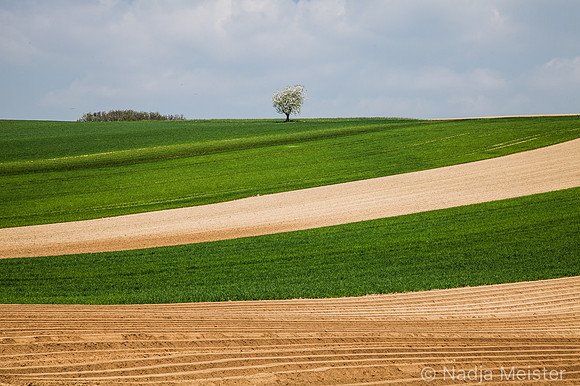 Kulturlandschaft_by_Nadja MeisterIMG_6727