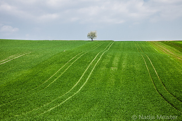 Kulturlandschaft_by_Nadja MeisterIMG_6736
