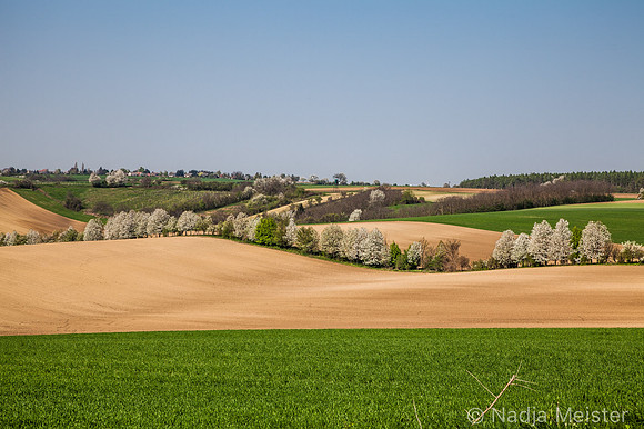 Kulturlandschaft_by_Nadja MeisterIMG_6705