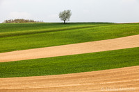 Kulturlandschaft_by_Nadja MeisterIMG_6746