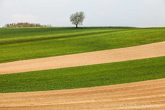 Kulturlandschaft_by_Nadja MeisterIMG_6746