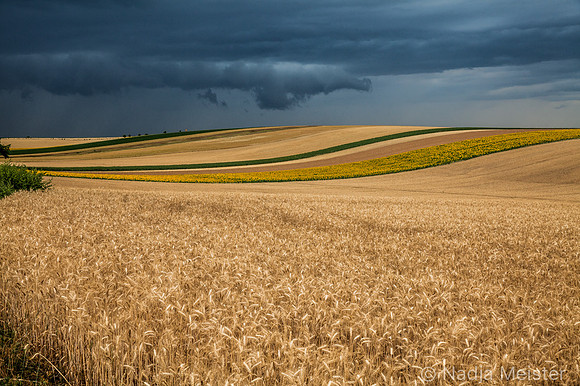 Kulturlandschaft_by_Nadja MeisterIMG_9417