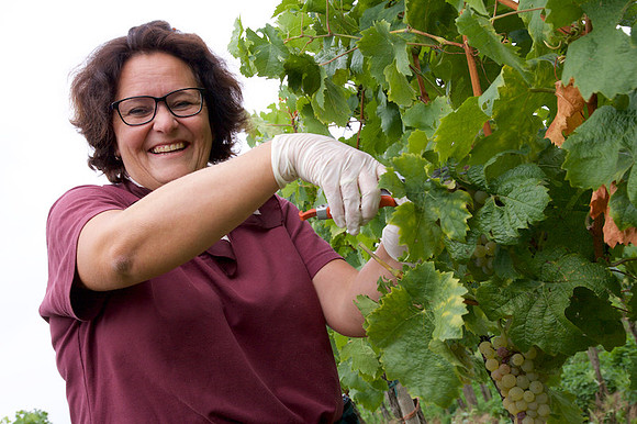 Weinlese_by_Nadja Meister_IMG_0119