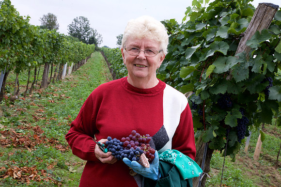 Weinlese_by_Nadja Meister_IMG_0171