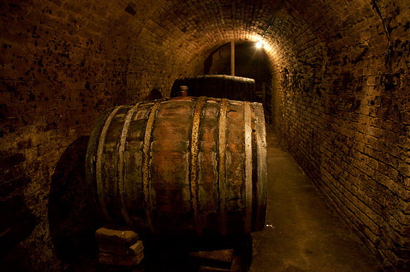Weinlese_by_Nadja Meister_IMG_0224