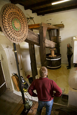 Weinlese_by_Nadja Meister_IMG_0274