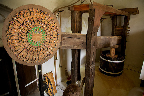 Weinlese_by_Nadja Meister_IMG_0284