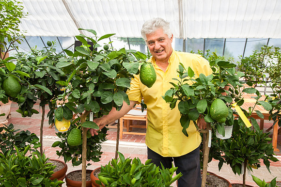 Zitrusgarten_Michael Ceron_(c)_Nadja Meister_IMG_5960