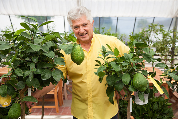 Zitrusgarten_Michael Ceron_(c)_Nadja Meister_IMG_5958