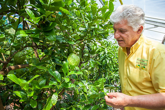 Zitrusgarten_Michael Ceron_(c)_Nadja Meister_IMG_6027