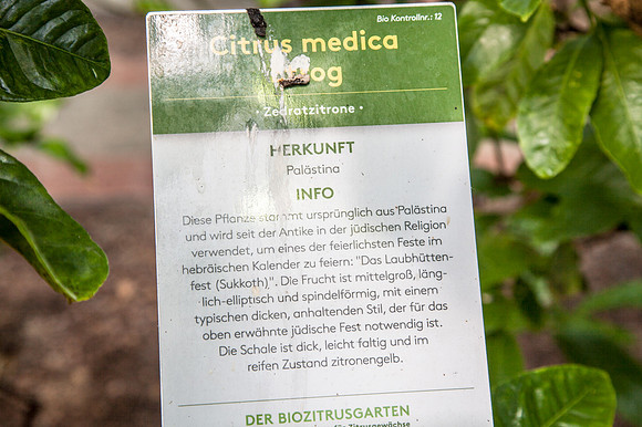 Zitrusgarten_Michael Ceron_(c)_Nadja Meister_IMG_6021