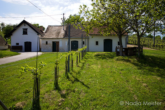 Galgenberg_by_Nadja Meister_IMG_6454