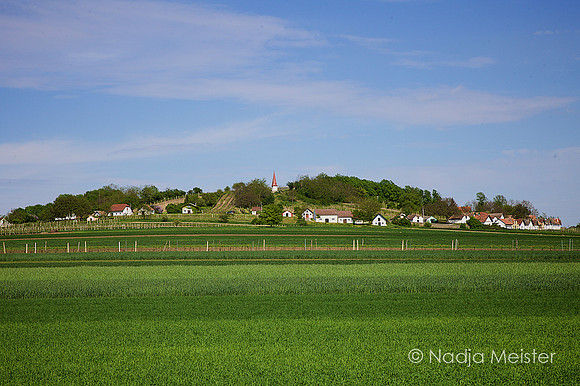 Galb_by_Nadja Meister_IMG_6512