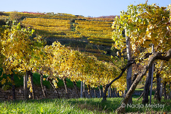 Wachau_by_Nadja Meister_IMG_0072