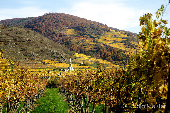 Wachau_by_Nadja Meister_IMG_9885