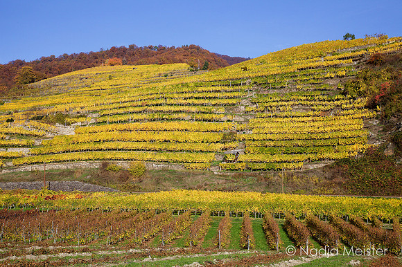 Wachau_by_Nadja Meister_IMG_9893