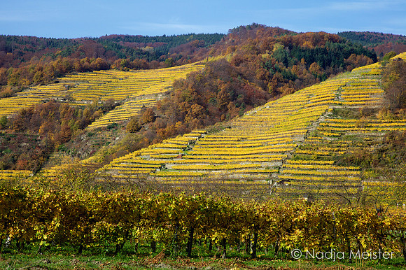 Wachau_by_Nadja Meister_IMG_9905