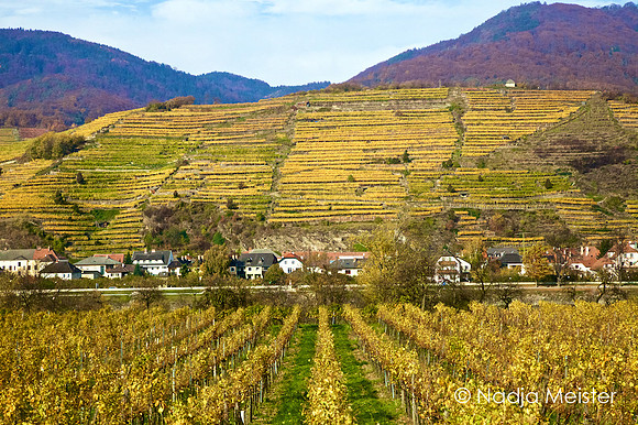 Wachau_by_Nadja Meister_IMG_9935