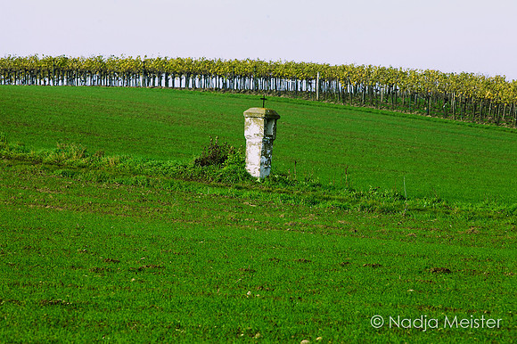 Wagram_by_Nadja Meister_IMG_7228