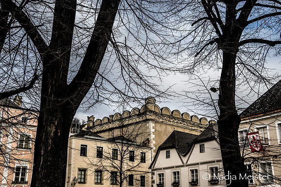 Stein an der Donau_(c)_Nadja Meister_DSC03748