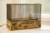 Armenhaus_Wullersdorf_(c)_Nadja Meister_IMG_0805