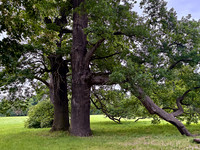 Lednice&Valtice Areal_(c)_Nadja Meister_ IMG_5238