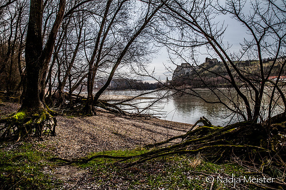 NP Park Donau Auen & Blick auf Devin_(c)_Nadja Meister_IMG_1815