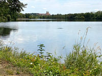 Ybbs an der Donau bis Krems _(c)_Nadja Meister_ IMG_5743
