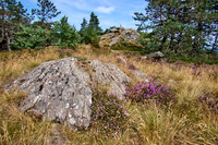 1000 Marches Trek_(c)_Nadja Meister_IMG_0495