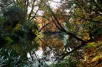 Nejdek_(c)_Nadja Meister_IMG_8789