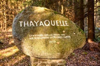 Thaya Quelle_(c)_Nadja Meister_ IMG_8364