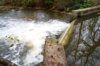 Laa an der Thaya_(c)_Nadja Meister_DSC00161
