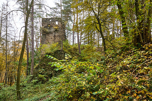Podhradi nad Dyji_(c)_Nadja Meister_IMG_3066