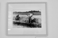 Staatsgrenze_(c)_Nadja Meister_ IMG_8218