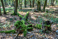 Sobes Gegend_(c)_Nadja Meister__MG_7960