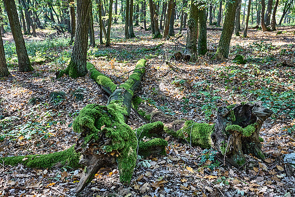 Sobes Gegend_(c)_Nadja Meister__MG_7960