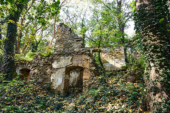 Sobes Gegend_(c)_Nadja Meister__MG_7934