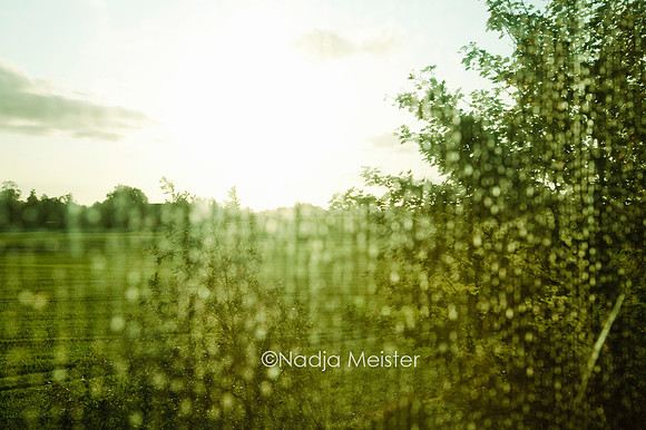 Wiese_by_Nadja Meister_IMG_8521