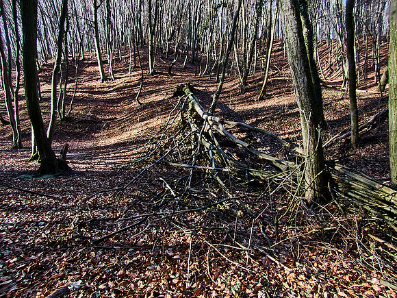 Hagenbachklamm_(c)_Nadja Meister_IMG_1759