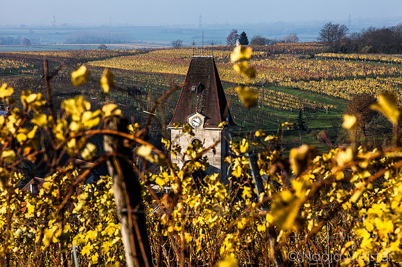 Landpartie WAGRAM_Blattgold&Blattrot_(c)_Nadja Meister_IMG_7109